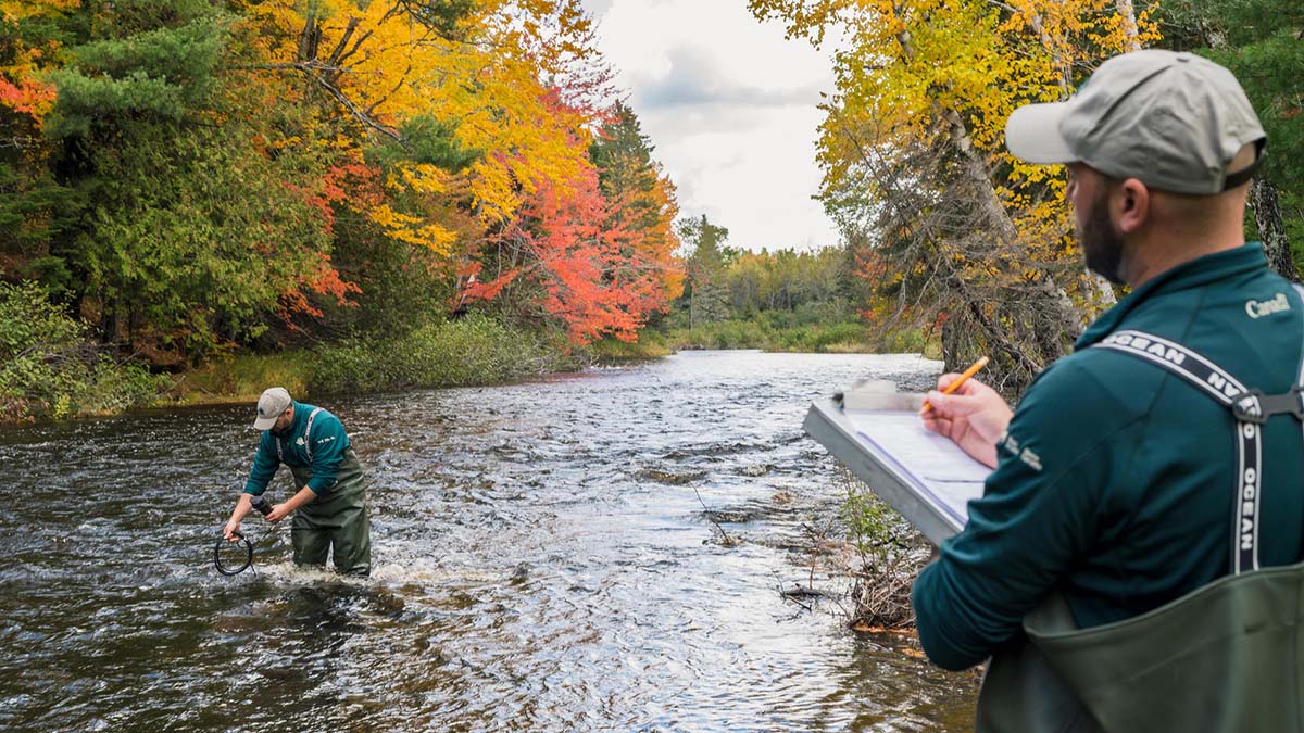 Richard Aucoin, up to his knees in a river, collects water measurements, while Samuel Gallant records data on a clipboard. It is autumn.