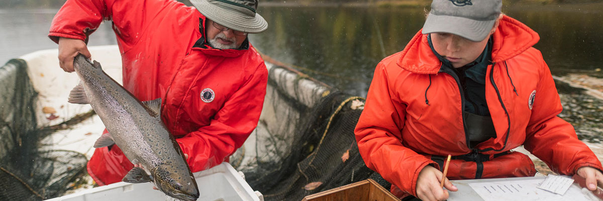 Two people in safety jackets on a boat. One person holds a salmon while their colleague records measurements on a clipboard.