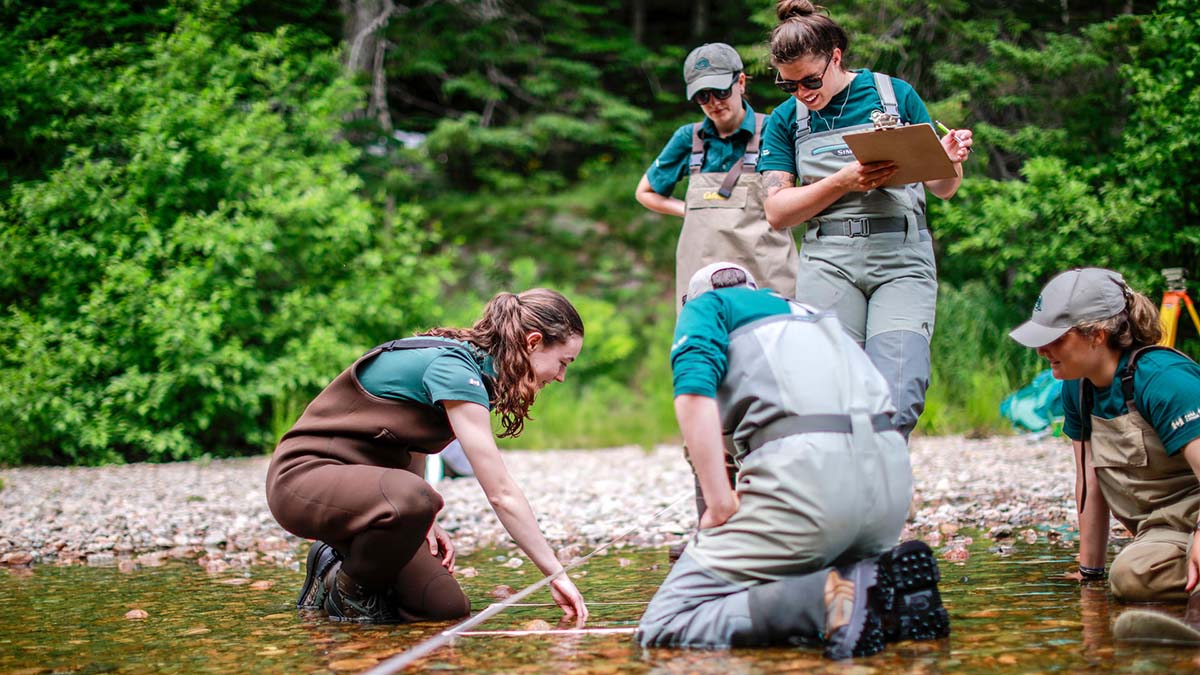 Five people in Parks Canada uniforms and chest waders collect water samples from a shallow river. One person records data on a clipboard.