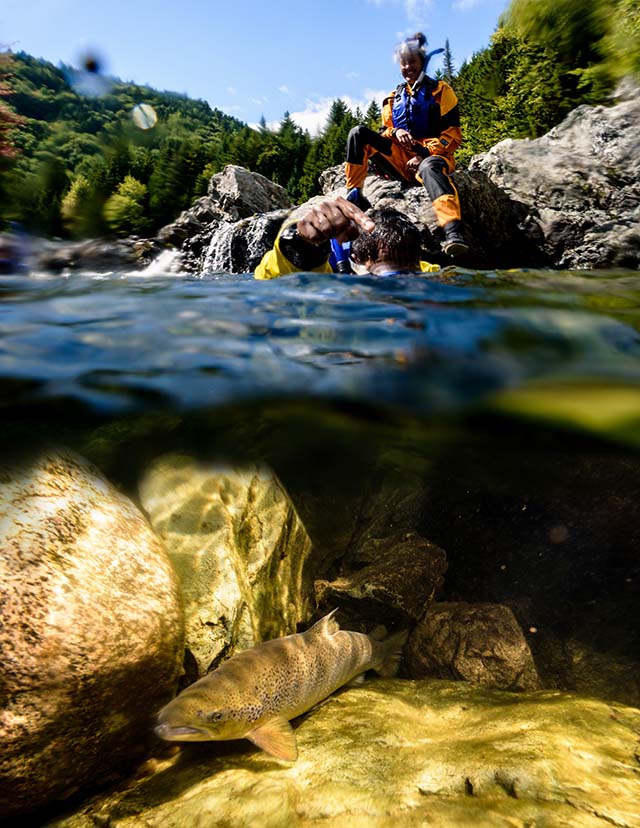Two snorkelers observe salmon in shallow water. One sits on shore. The other, in the water, points out a swimming salmon to their companion.