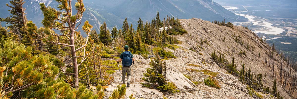 A person with a backpack and hiking poles walks along a pine tree dotted, rocky mountain ridge trail, with a vista of snow-capped mountains.