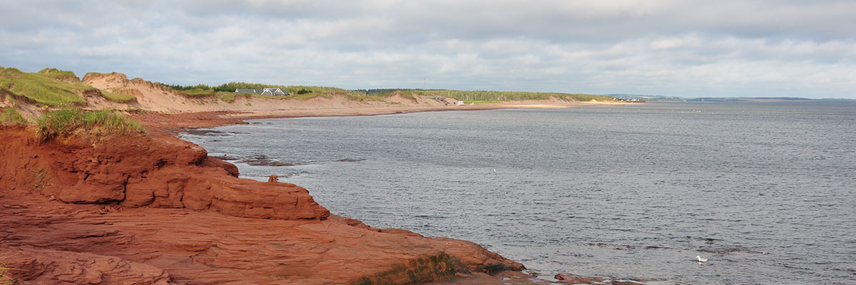 A coastal line of red sandstone rocks descends to the ocean. In the distance, down the coast, white sand beaches spill out of grassy dunes.
