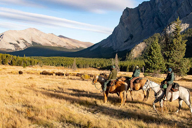 In a mountain valley meadow, under a late day sun, three people in uniform sit on horseback observing a distant herd of bison.