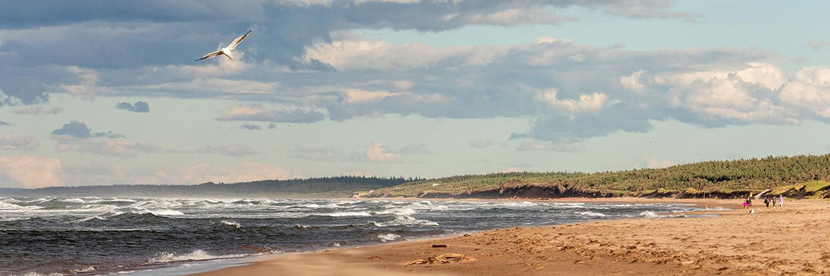 A gull soars above crashing waves as they meet a long sandy beach on a partly cloudy day.
