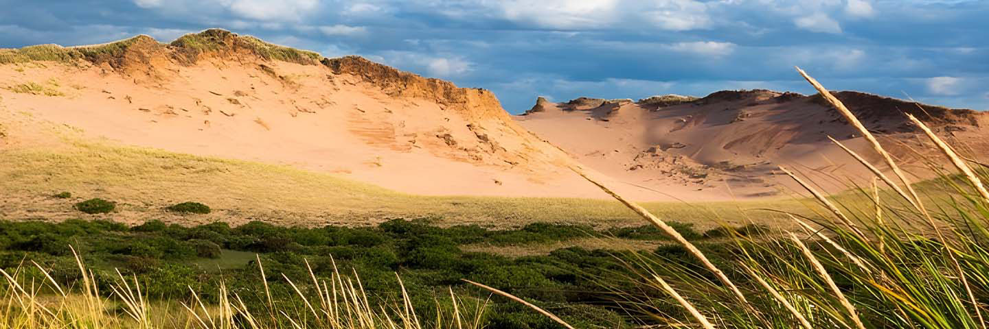 Tall grasses in the foreground, transition to rolling dunes of white sand, topped with grasses. The background is a partly cloudy sky.