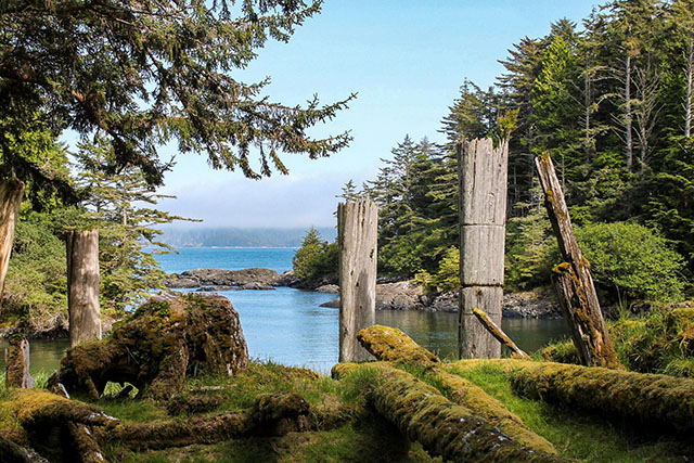 Four wooden poles stand among moss covered logs, surrounded by forest. The background is a small, protected bay, with the ocean beyond.