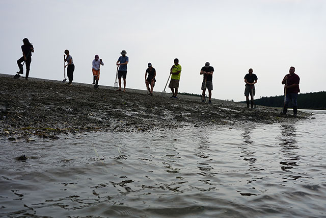 Nine people are silhouetted with pitchforks and shovels, working in a row along the slope of a rocky beach which descends to the water.
