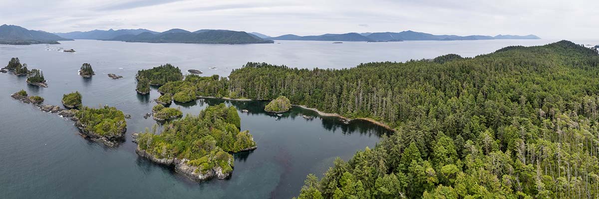 An aerial panorama of many small, forested islands, spilling out of the coastline. Islands dot the horizon with distant mountains beyond.