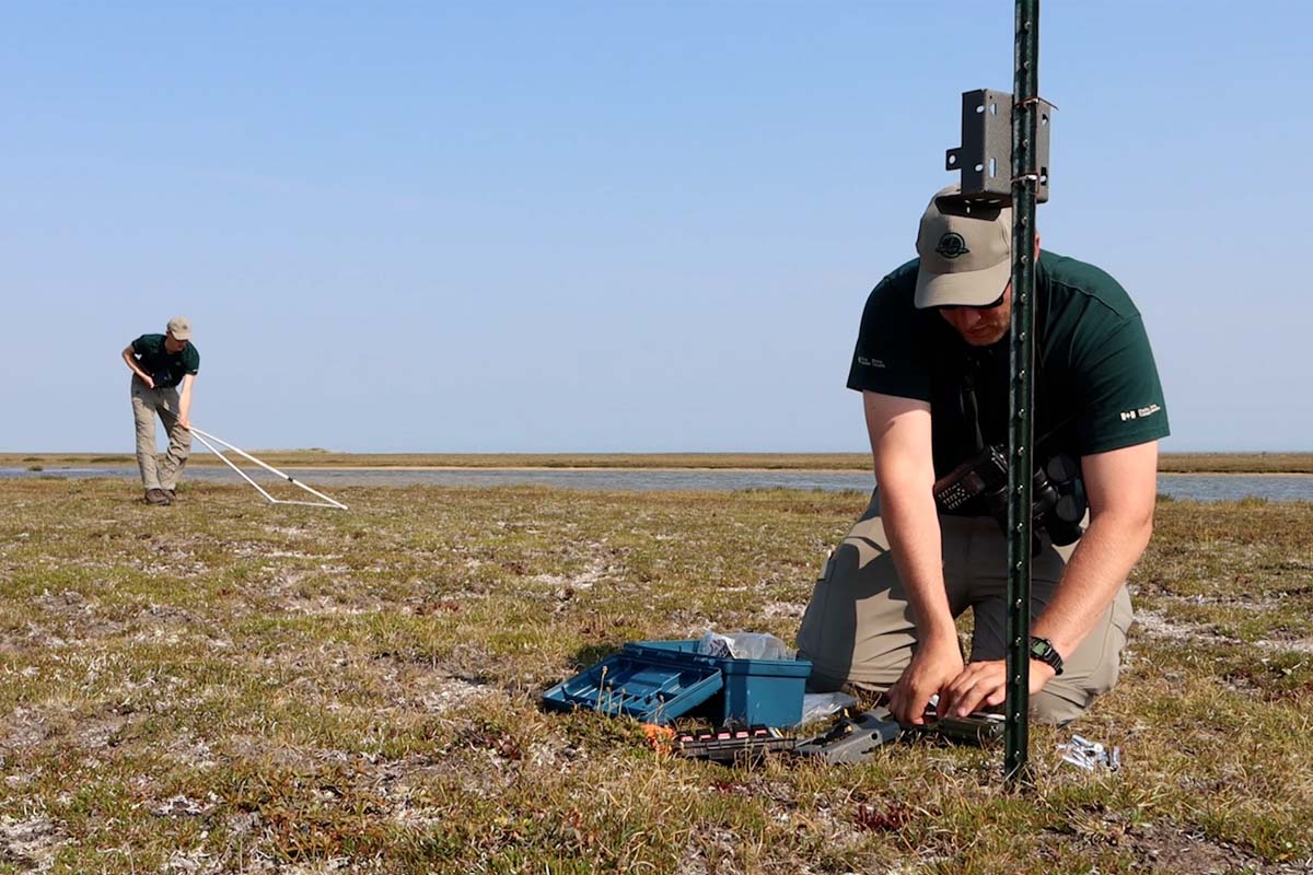 On a tundra landscape, Russell Turner prepares a wildlife camera to attach to a metal post, as Matthew Van Egmond works in the background.