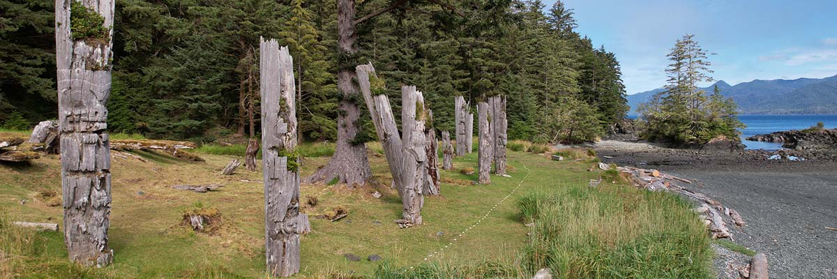 A dozen moss-covered, wooden poles stand in a meadow, aligned along the shore of a rocky beach. Tall trees are in the forested background.