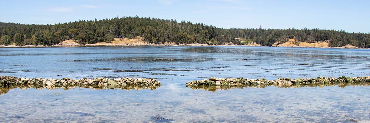 A low rock wall with a small break in the middle, protrudes from calm waters and divides a shallow area from deeper waters beyond.