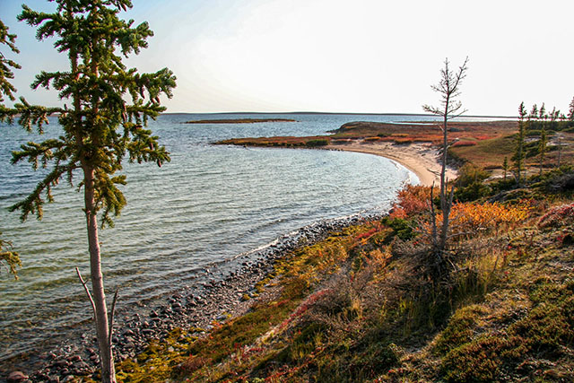 A shoreline of rocks and sand curves out to a low-lying point in the calm waters of a lake. A thin coniferous tree is in the foreground.