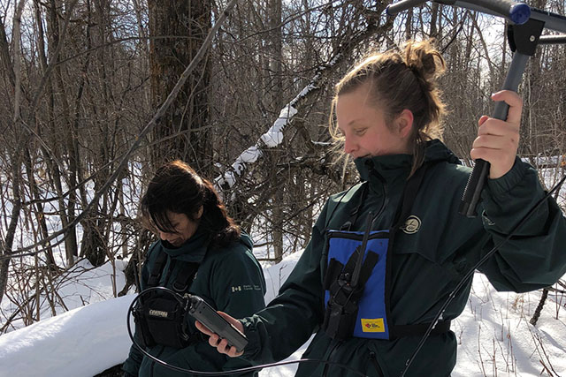 Ramona Maraj assists, as Annelise Geisterfer studies the output of telemetry equipment. They stand in a snow-covered woodland.