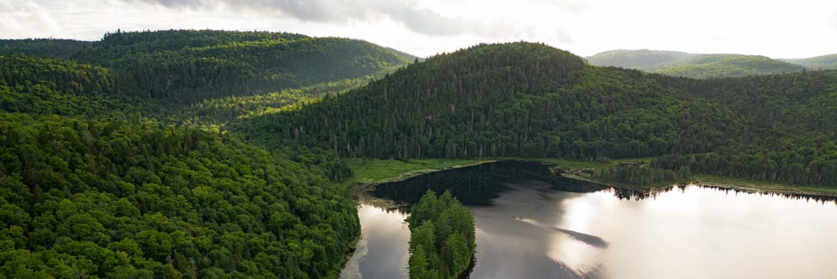 An aerial view of a lake surrounded by dense green forested hills. The lake reflects sunlight peaking through clouds on the horizon.