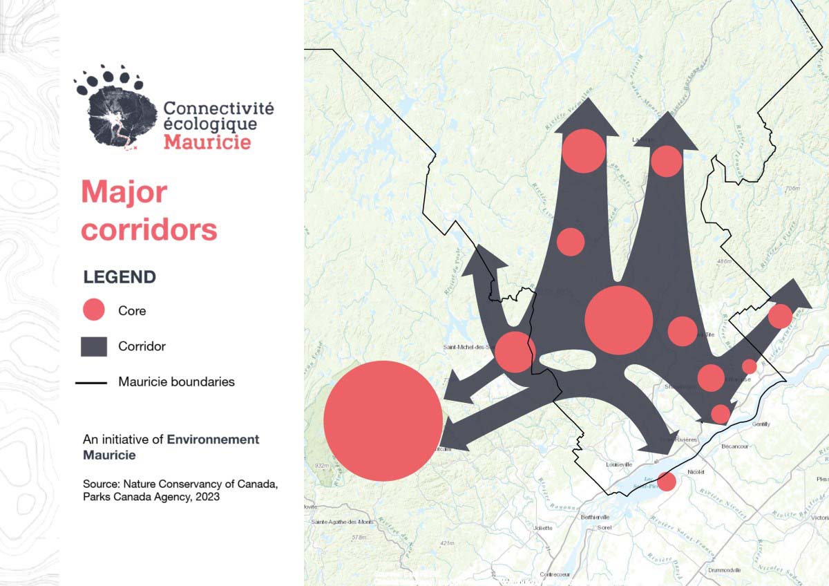 A map illustrating major wildlife movement corridors in the Mauricie region.