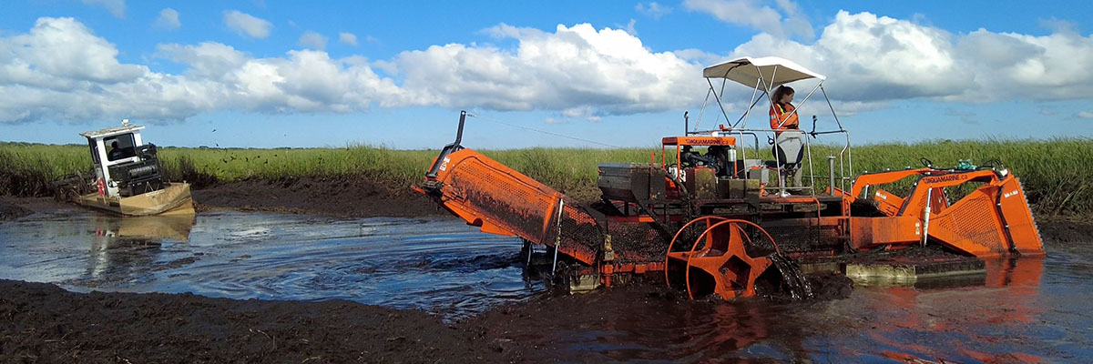 An amphibious vehicle with large wheels drives through a muddy wetland, collecting vegetation, while a smaller vehicle cuts vegetation.