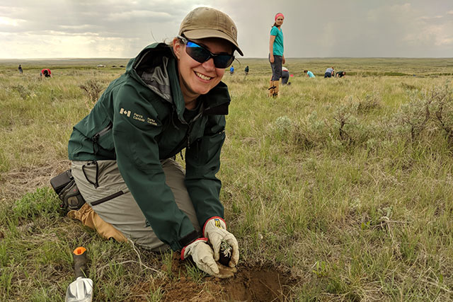Laura Gardiner, in uniform, smiles at the camera as she places a small plant into a hole recently dug in the grasslands.