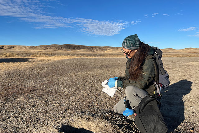 Emily Hall, in uniform and blue medical gloves, holds a plumbing snake and testing kit, and kneels on grassland beside a prairie dog burrow.