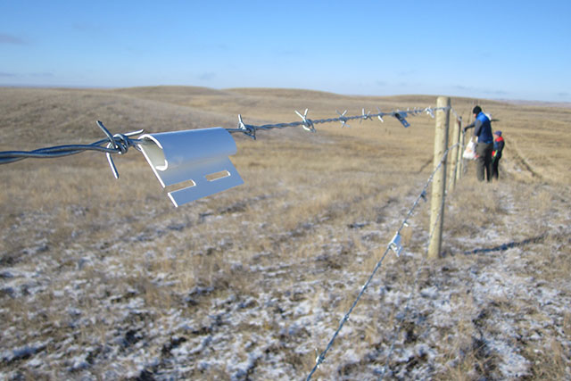 White plastic hangs loosely on barbed wire strung between fence posts on the grasslands. People work on the fence in the background.