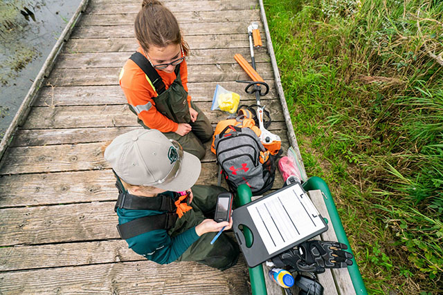 Two people crouch on a boardwalk above a wetland. Data collection equipment lies around them, as they record what they find on a clipboard.