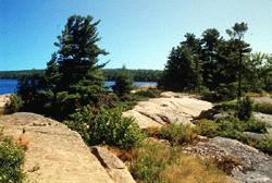 One of the numerous small islands at the northern end of Georgian Bay Islands National Park of Canada 