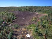 Bare soil in a vegetation zone