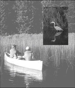 Two people canoeing