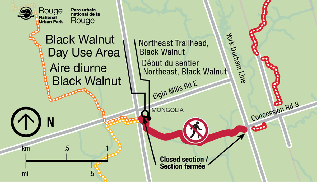 Map showing Black Walnut Day Use Area with a closed trail section near Northeast Trailhead in Rouge National Urban Park.